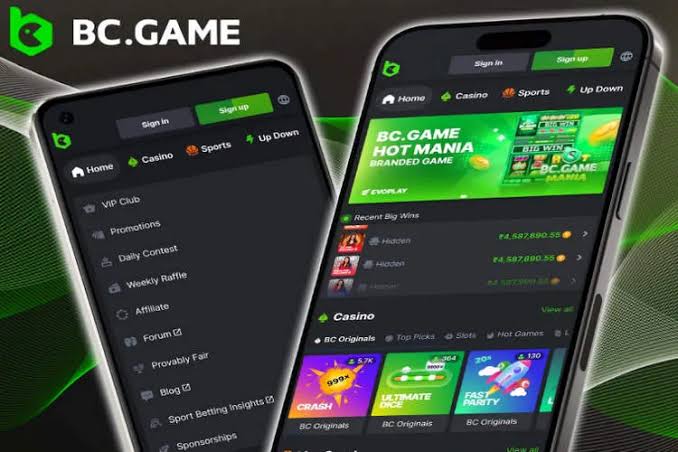 Comprehensive Guide to Login BC.Game Your Gateway to the Ultimate Casino Experience