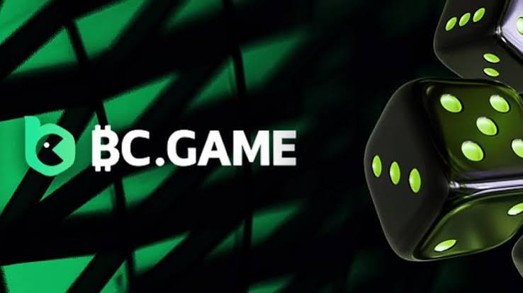 Unlocking Excitement A Comprehensive Guide to BC.Game Bonus Codes and Promotions 906338411